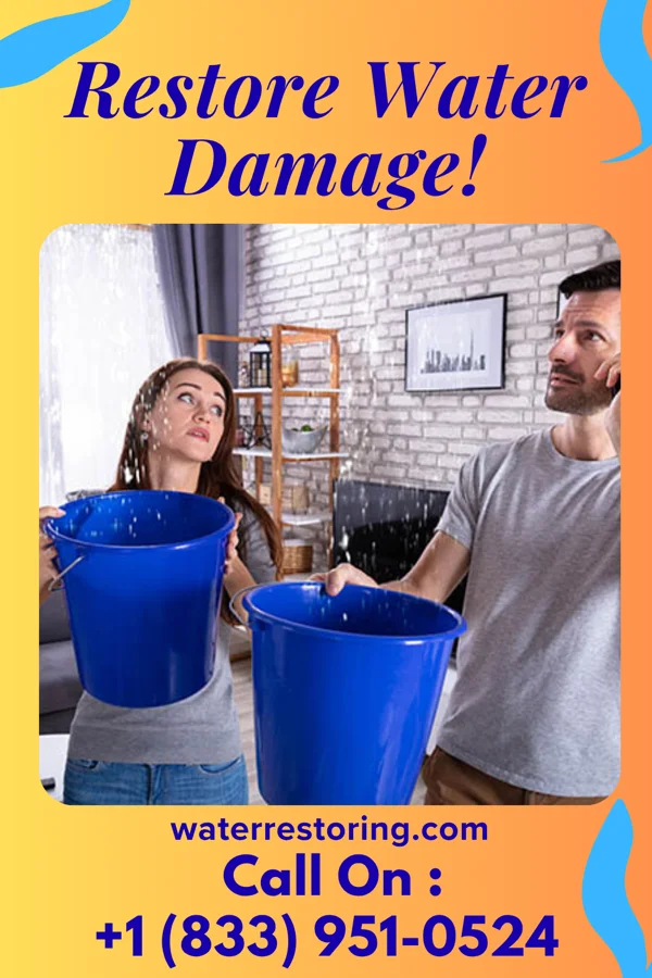 water restoration Galaxy Sewage Cleanup Team Crown Heights