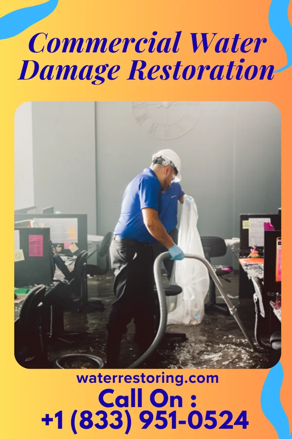 Commercial Water Damage Restoration in Crown Heights, NY