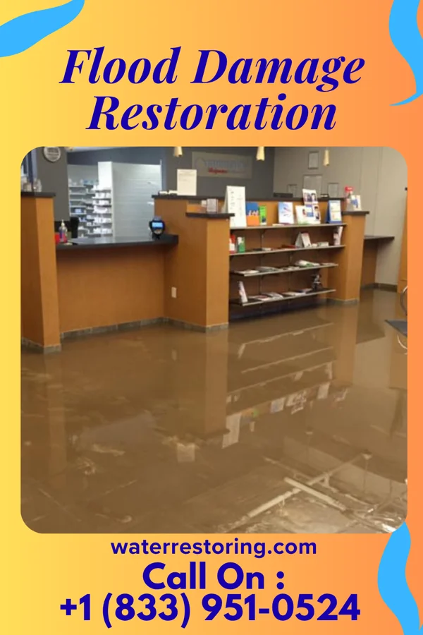 Flood Damage Restoration in Crown Heights, NY