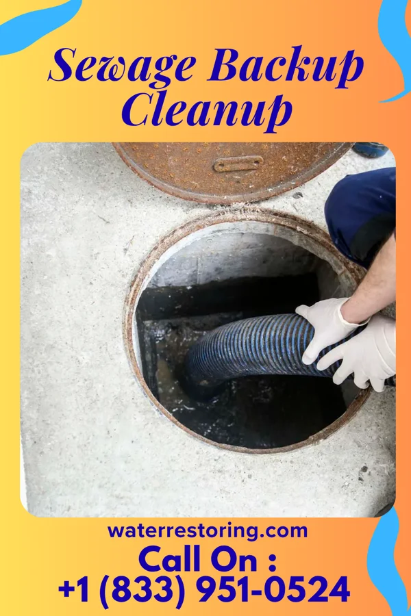 Sewage Backup Cleanup in Crown Heights, NY