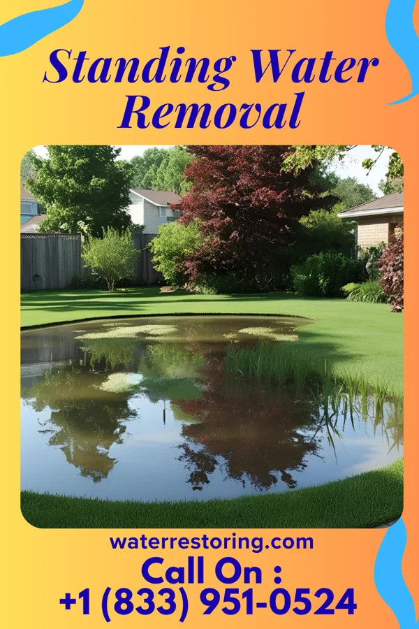 Standing Water Removal in Crown Heights, NY